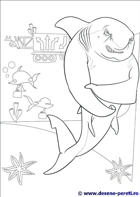 shark tale desene colorat